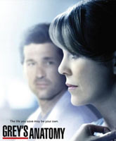 Grey's Anatomy season 11 /   11 